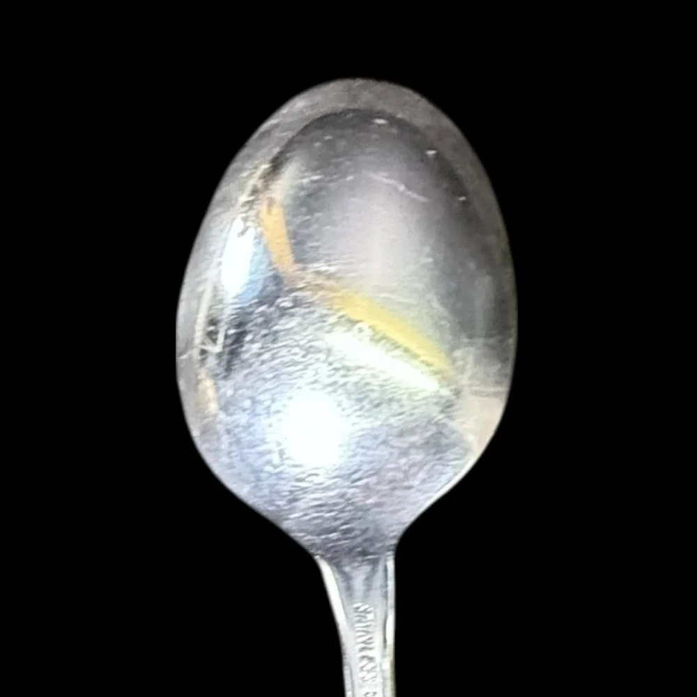 Oneida Strathmore ONE Tablespoon Serving Spoon Deluxe Stainless‎ Steel Vtg 90s